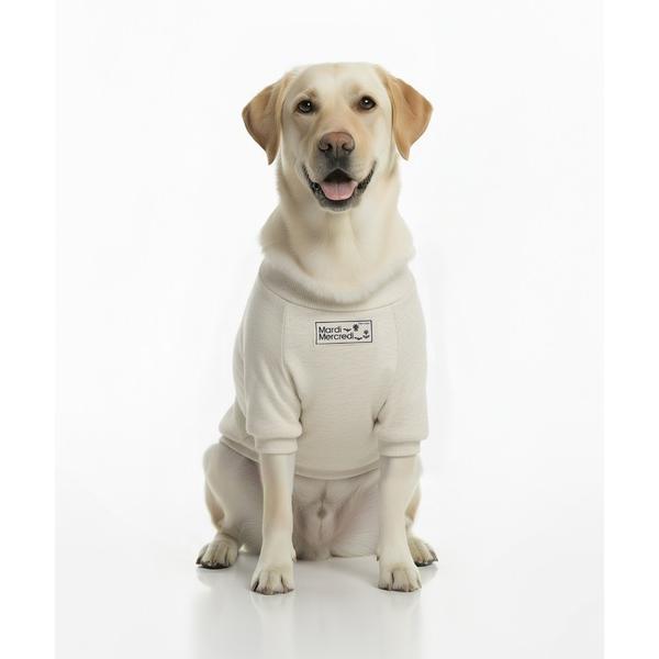 犬 服 PET SWEATSHIRT FLOWERMARDI  / ペット スウェットシャツ フラワーマルディ（Yahoo!・ZOZOTOWN Yahoo!店）