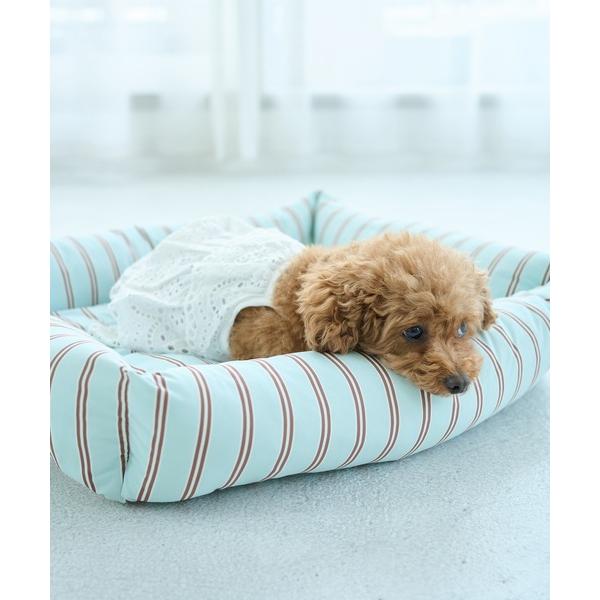 ペット マット 「DOG」マルチストライプひんやりベッド（Yahoo!・ZOZOTOWN Yahoo!店）