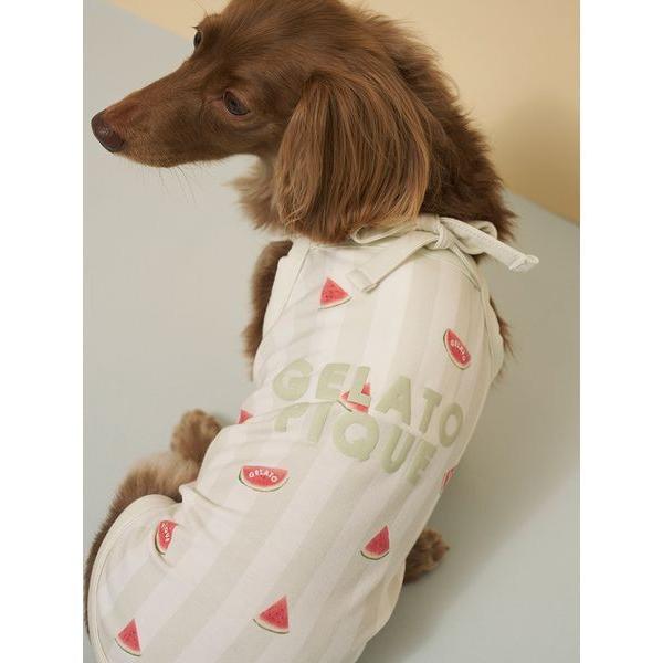犬 服 「CAT＆DOG」「接触冷感」ダックスフンドサイズCoolingプルオーバー（Yahoo!・ZOZOTOWN Yahoo!店）