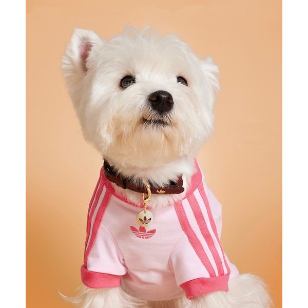 犬 服 ペット カリ Tシャツ / アディダスオリジナルス adidas Originals（Yahoo!・ZOZOTOWN Yahoo!店）