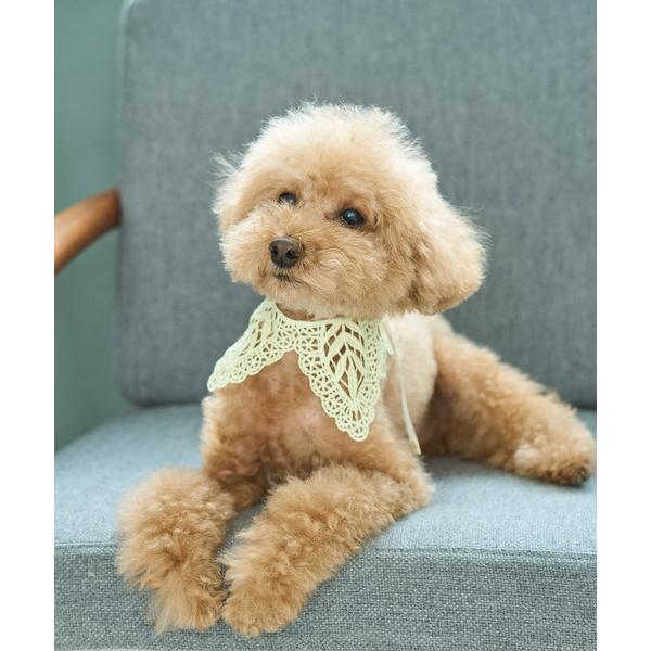 犬 服 「DOG」レースつけ襟（Yahoo!・ZOZOTOWN Yahoo!店）