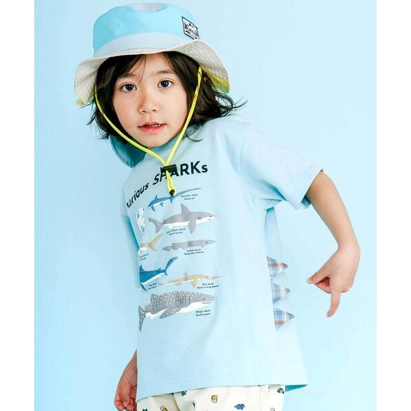 tシャツ 「吸汗速乾」恐竜サメ図鑑風発泡プリントTシャツ(80~130cm) キッズ 子供服 男の子 女の子 の商品画像