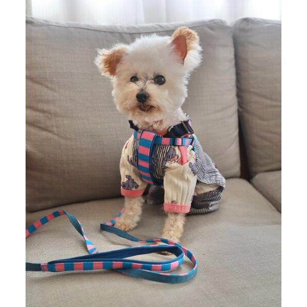 犬 ハーネス リード 「SAHIR サヒール」PET HARNESS の商品画像