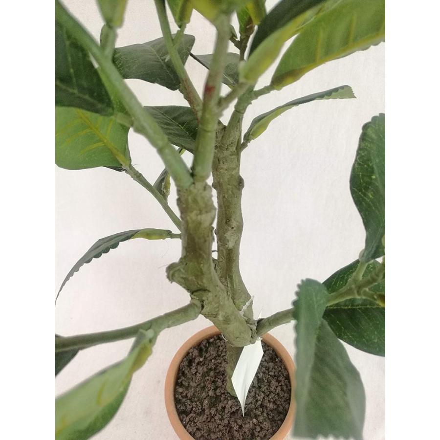 総合福袋 Sunavi人工観葉植物 レモンツリー 光触媒 フェイクグリーン 観葉植物 空気清浄 消臭 脱臭 室内 屋外 造花 多肉植物 造花 植物装飾 造花 アートフラワー Oyostate Gov Ng