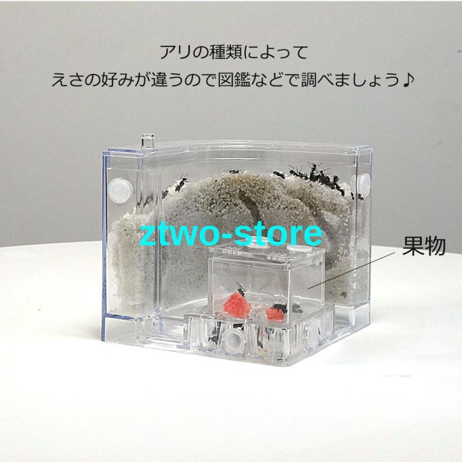 おもちゃ アリの巣 あり観察キット 飼育ケース 砂 自由研究 小学生