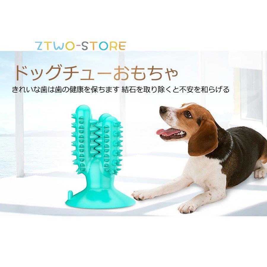 Petsola 子犬を噛むためのおもちゃを遊ぶプロの犬の一口スリーブ子犬トレーニング グリーンキャンバス