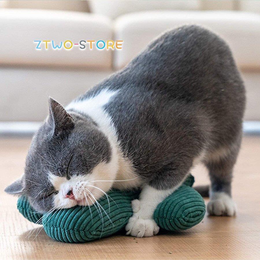 サボテンのおもちゃ 面白い猫のおもちゃ 遊ぶおもちゃ サボテンのぬいぐるみ キャットニップのおもちゃ 猫 犬 咀嚼玩具 歯を磨く Ztwo0212 Wj157 Z2ストア 通販 Yahoo ショッピング