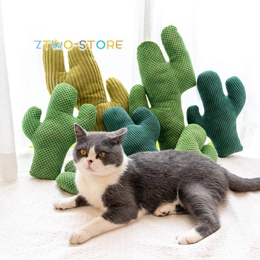 サボテンのおもちゃ 面白い猫のおもちゃ 遊ぶおもちゃ サボテンの