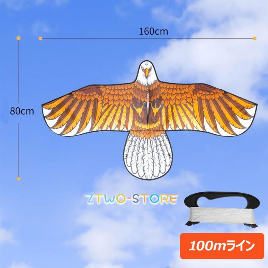 カイト 凧 凧揚げ シングルカイト バイオカイト 子供 大人と初心者の