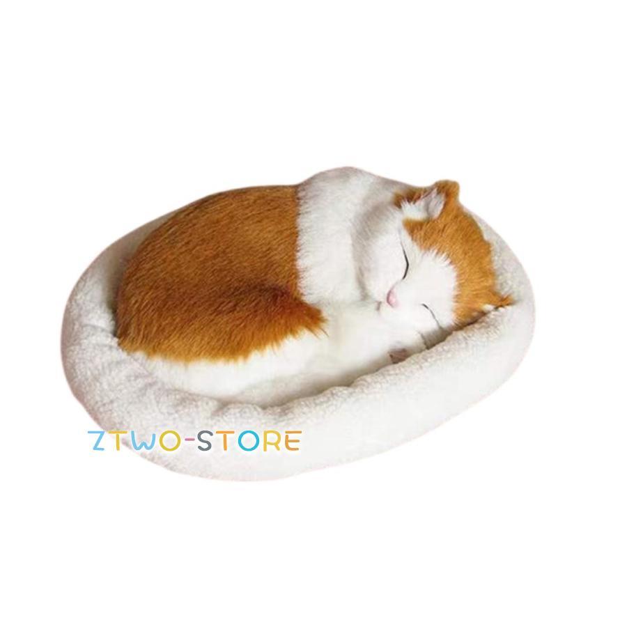 寝ている猫のぬいぐるみ Amazon.co.jp: クーラヨン 2個入りぬいぐるみ猫 スリッパで寝て