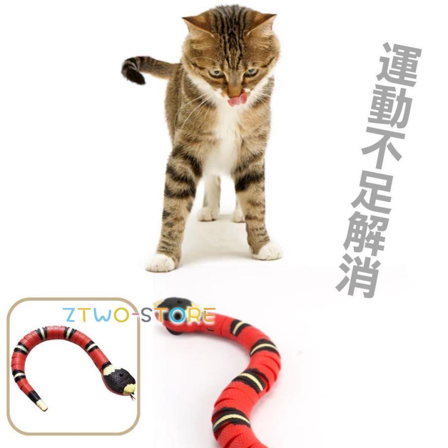 ヘビと猫 猫 VS 蛇 - YouTube