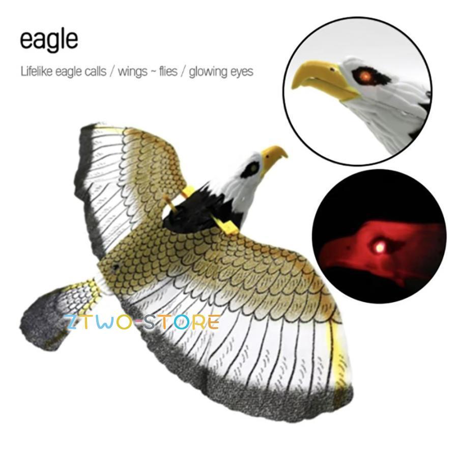 猛禽類、ハト、水鳥マニュアル 猛禽類、ハト、水鳥マニュアル 猛禽類、ハト、水鳥マニュアル