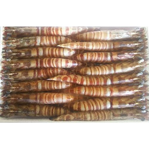 特大 有頭 車海老 1kg 16尾 冷凍 加熱用 エビ 業務用 くるま 贈り物 最大73 オフ