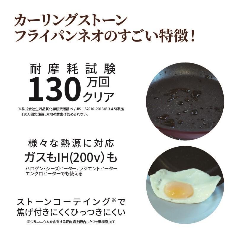 【送料無料】焦げないフライパン、通販で人気、こだわりの構造で焦げ付きにくく、お手入れ簡単　カーリングストーンフライパンネオ20cm |  | 02