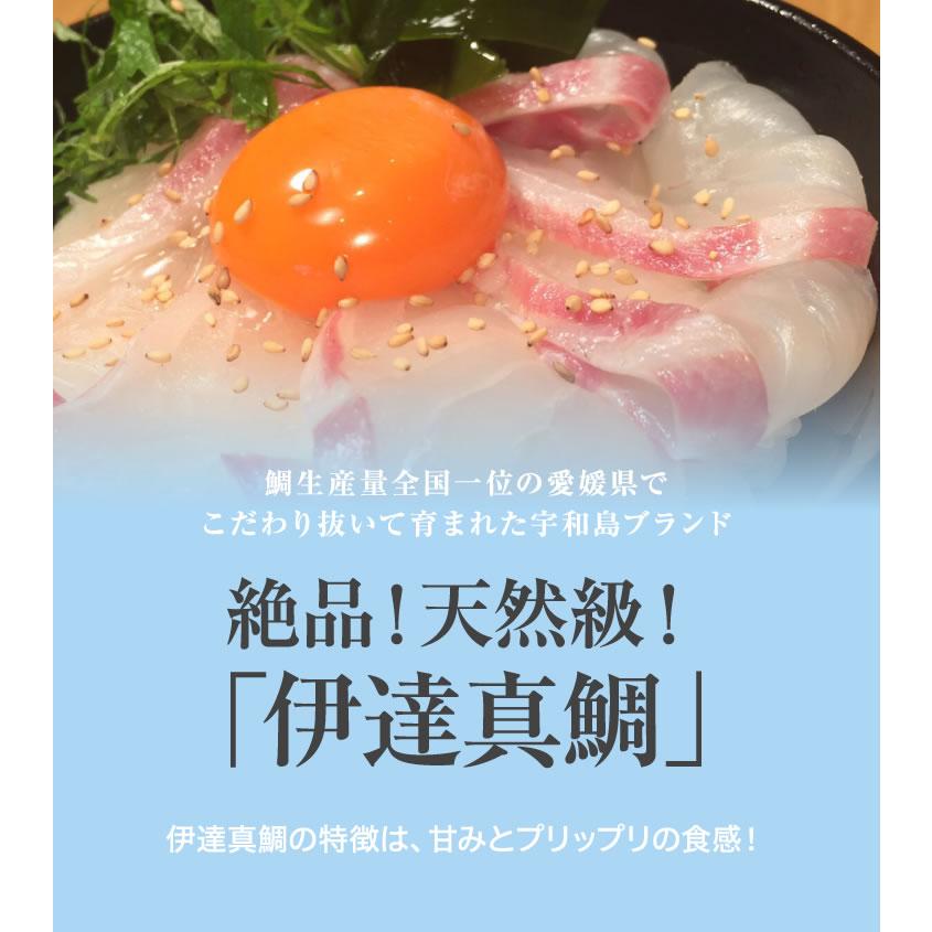【送料無料】【漁港直送】宇和島生鯛めし　5人前 お試し  鮮度ばつぐん #鯛たべよう伊達真鯛 新鮮 鮮度が命 高級卵かけごはん |  | 04