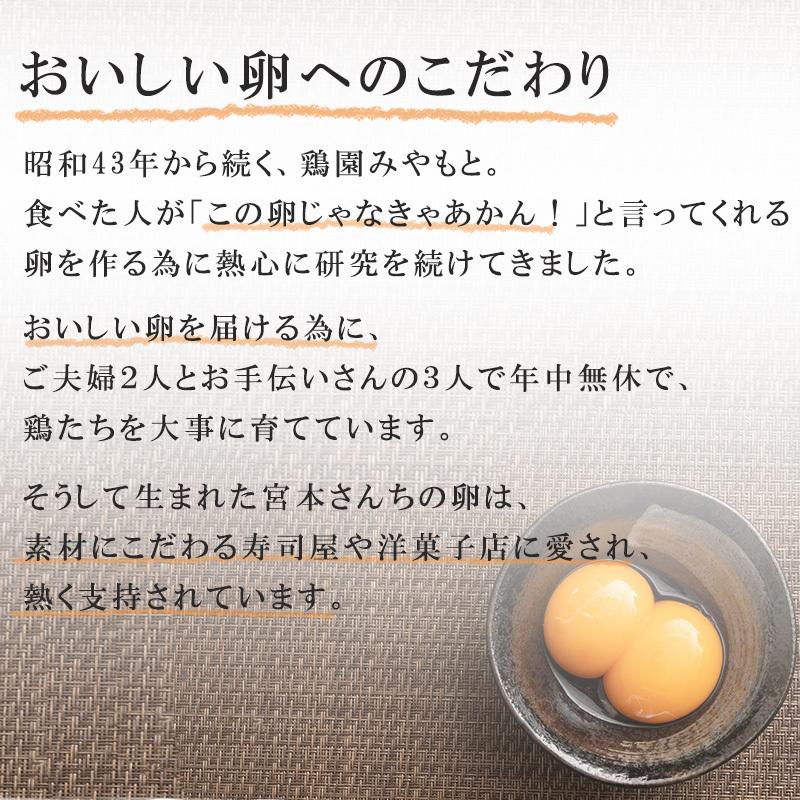 送料無料】【養鶏場直送】宮本さんちの平飼い地たまご25個+5個 健康たまご おいしさと安全性にこだわった、こだわりたまご :z0008-000072:Zugkla-shop - 通販 - Yahoo!ショッピング 送料無料】【養鶏場直送】宮本さんちの平飼い地たまご25個+5個 健康たまご おいしさと安全性にこだわった、こだわりたまご :z0008-000072:Zugkla-shop - 通販 - Yahoo!ショッピング