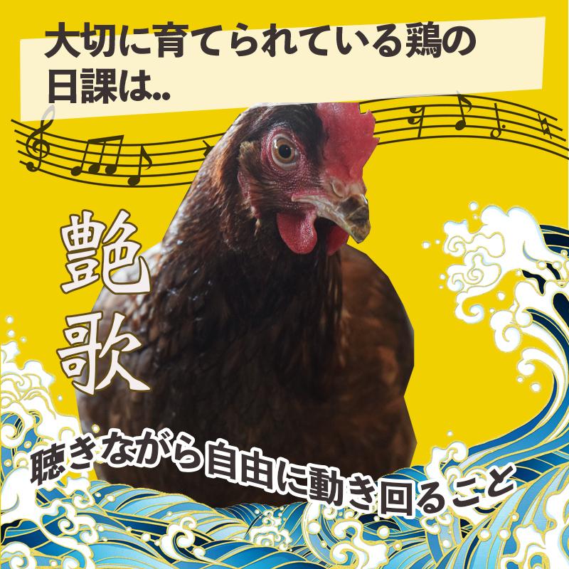 送料無料】【養鶏場直送】宮本さんちの平飼い地たまご25個+5個 送料無料】【養鶏場直送】宮本さんちの平飼い地たまご25個+5個