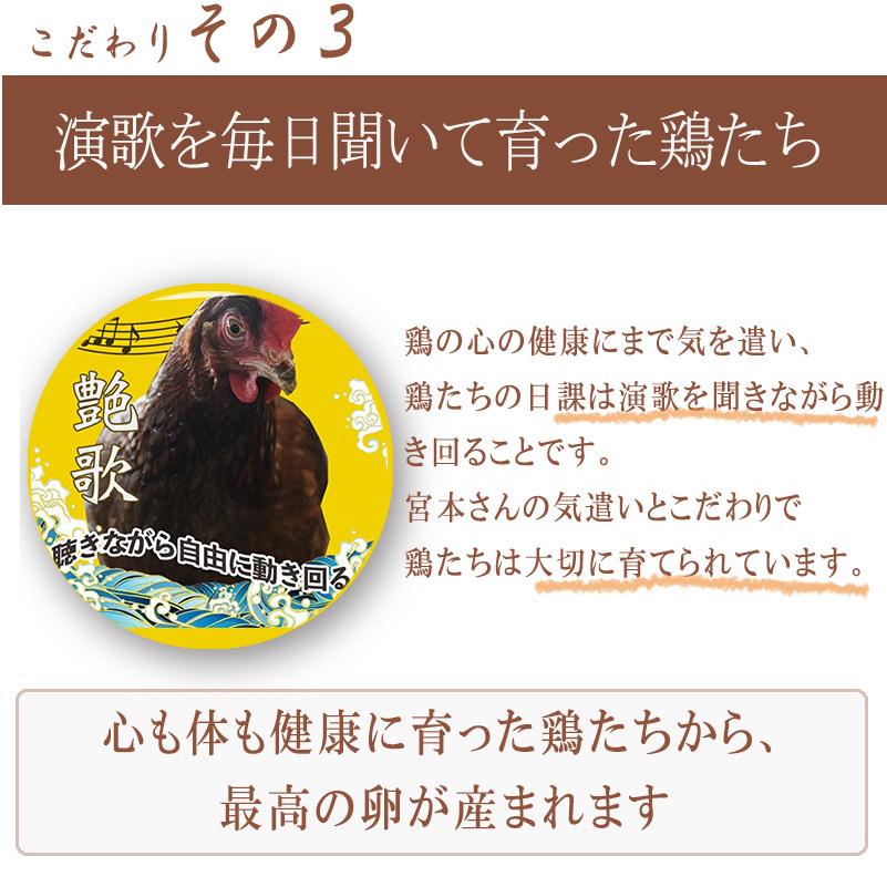 送料無料】【養鶏場直送】宮本さんちの平飼い地たまご25個+5個 送料無料】【養鶏場直送】宮本さんちの平飼い地たまご25個+5個