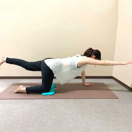 【送料無料】楽トレfit　オーマイパッド同色2枚組(カラーバリエーション6色) ヨガ・ピラティス・コアトレーニングサポートグッズ |  | 07