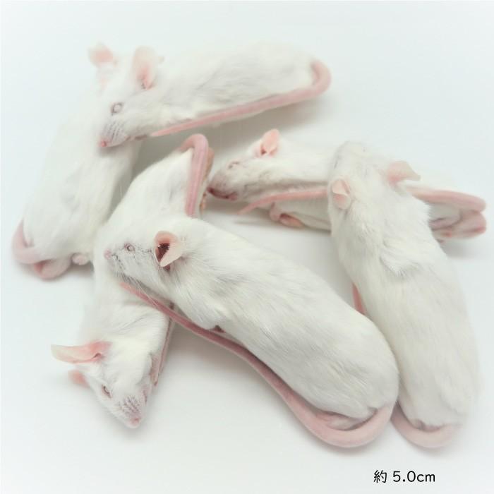 冷凍ファジーSマウス (100匹)約5.0ｃｍ/匹 ☆富城 冷凍マウス ファジー