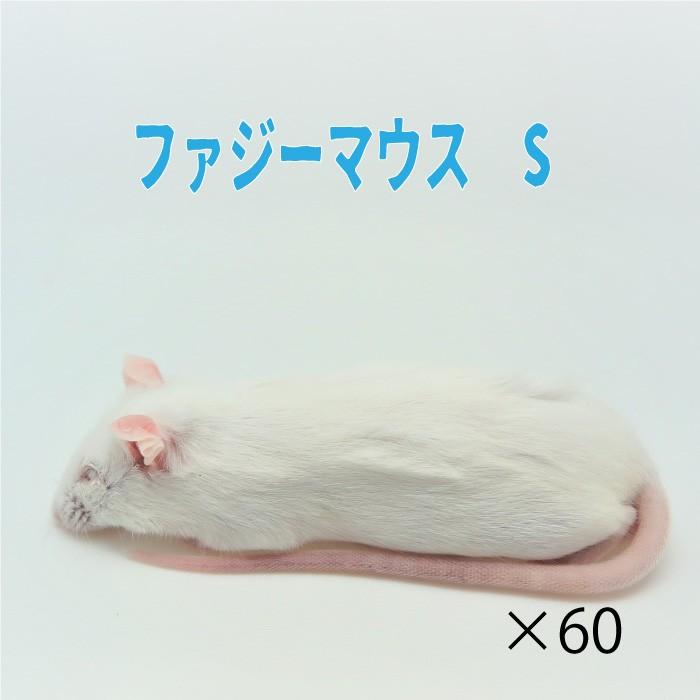 冷凍ファジーsマウス 60匹 約5 0ｃｍ 匹 冷凍マウス ホワイトマウス 冷凍餌 エサ 猛禽類 爬虫類 両生類 大型魚の肉食ペット用 クール便発送 Fuzzy S060 Wajo Club 瑞城店 通販 Yahoo ショッピング