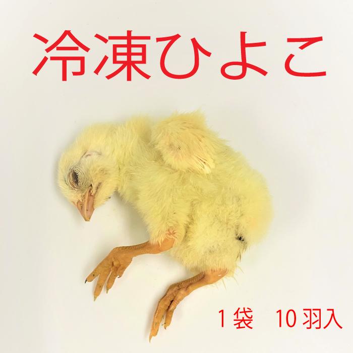 冷凍ひよこ 10羽入 ヒヨコ 国産 餌 ペット用 フクロウ ワシ 肉食のトカゲ等 Hiyoko 0010 Wajo Club 瑞城店 通販 Yahoo ショッピング