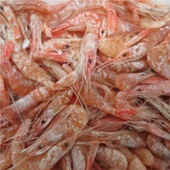 冷凍川エビ 500g 5個セット クール便にてお届け