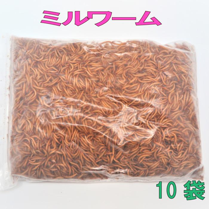 冷凍ミルワーム 1kg×10袋 レイトウ みるわーむ 冷凍 爬虫類 両生類 大型中型魚 小動物用冷凍餌 ペット 大型熱帯魚用1kg×10袋 ...
