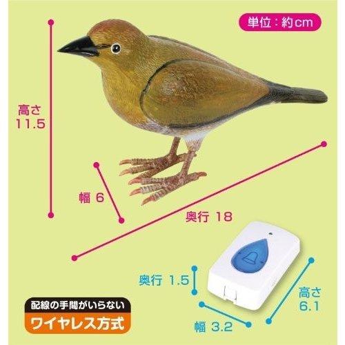 インターホン チャイム 呼び鈴 小鳥のさえずり 後藤 ゴトウ ワイヤレス 871032 【お知らせバード 】｜zumi｜04