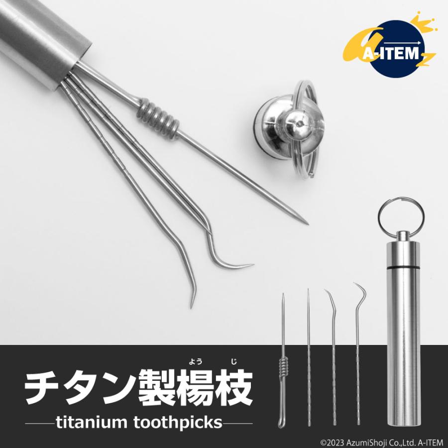 チタン製楊枝 合金 4本セット ステンレスケース入り 耐食性 密閉ケース 軽量 携帯 コンパクト ポータブル ミニチタン 野外 山登り アウトドア用品 63 Off