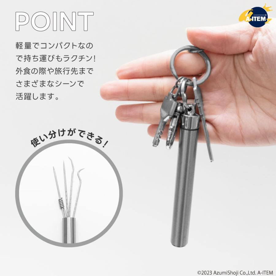 ステンレス製楊枝 4本セット ケース入り 歯間ブラシ 軽量 携帯 