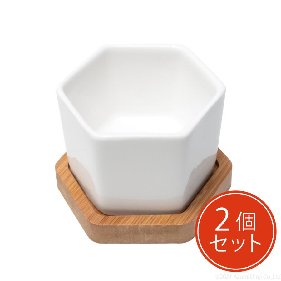 植木鉢　2個セット 61Fx9DVj1zL.jpg_BO30,255,255,