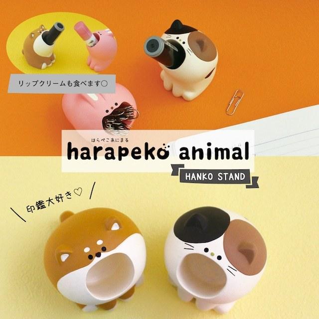 ペリロコ様❤ダックス 印鑑スタンド♡ ペリロコ様❤ダックス 印鑑スタンド♡