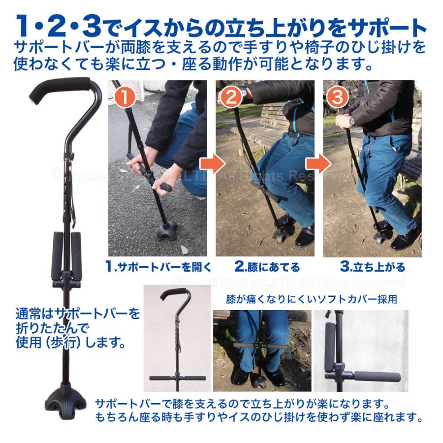 ギフト 送料無料 イージーアップ杖 立ち上がり補助 らくらく立ち上がり 自立杖 折りたたみ杖 散歩 ギフトに 福祉用具 敬老の日に サポート 室内杖 つえ Wantannas Go Id