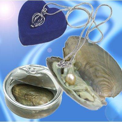 缶パールネックレス 願い事が叶う 自分だけのペンダント 5 8mm ジュエリー プレゼント 真珠 ネックレス パールの缶詰 母の日 真珠の缶詰 ギフト百貨のzumi 通販 Paypayモール