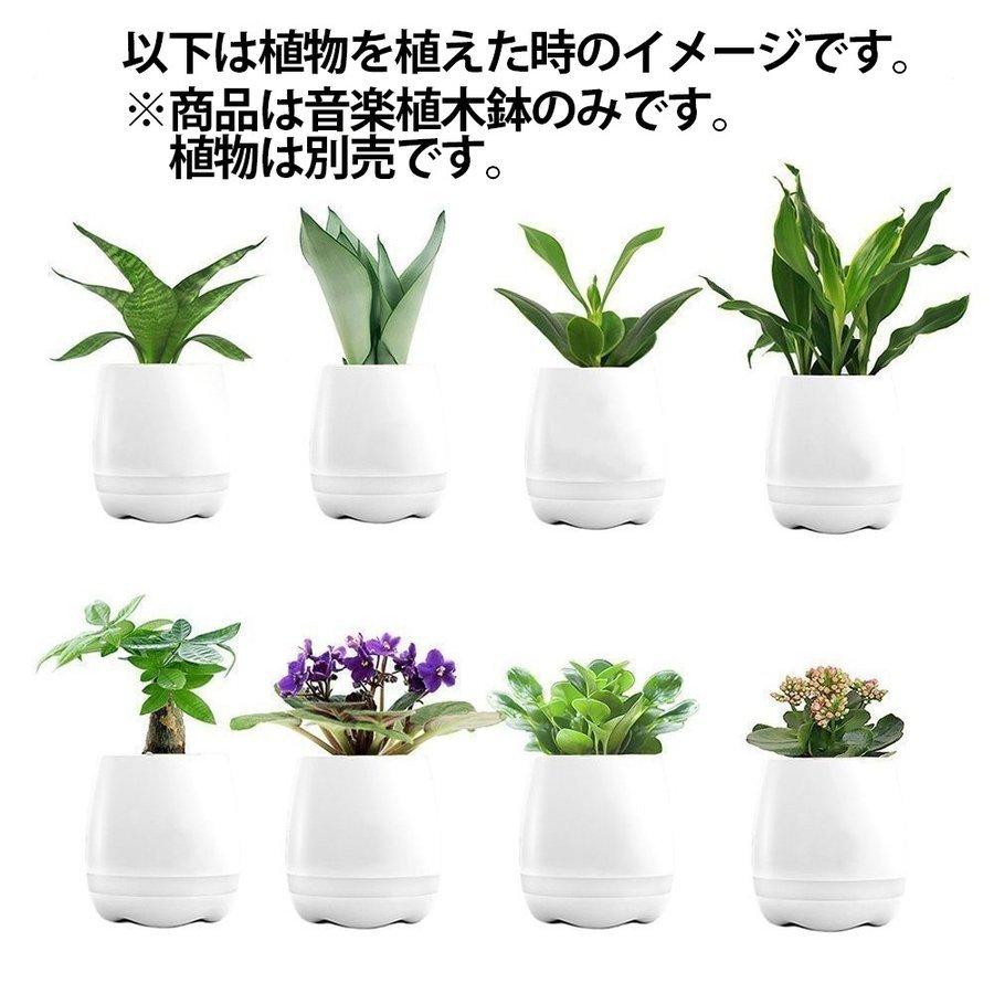 音楽植木鉢 ミュージックフラワー スピーカー Bluetooth ワイヤレス