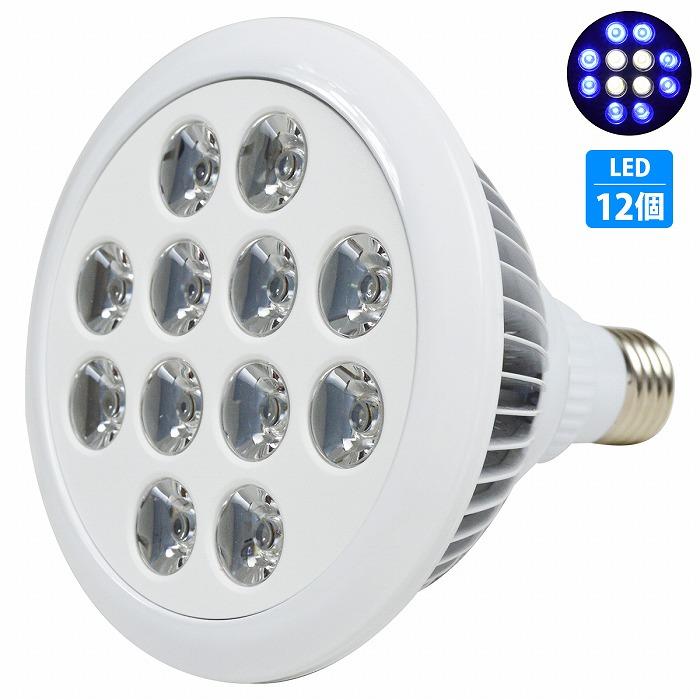 Led 電球 スポットライト 24w 2w 12 青8白4 水槽 照明 サンゴ E26 電気 観賞魚 Ledスポットライト 植物育成 水草 熱帯魚 100 品質保証