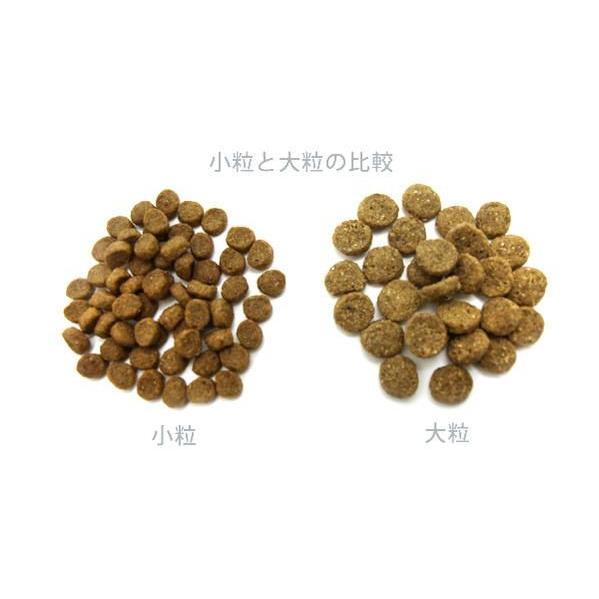 アーテミスアガリクスヘルシーウェイト小粒 ドッグフード6.8kg 【公式