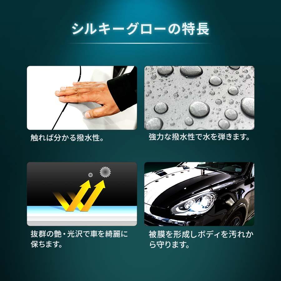 Zeus clear 【プロが認めた】シルキーグロー 簡単 コーティング L