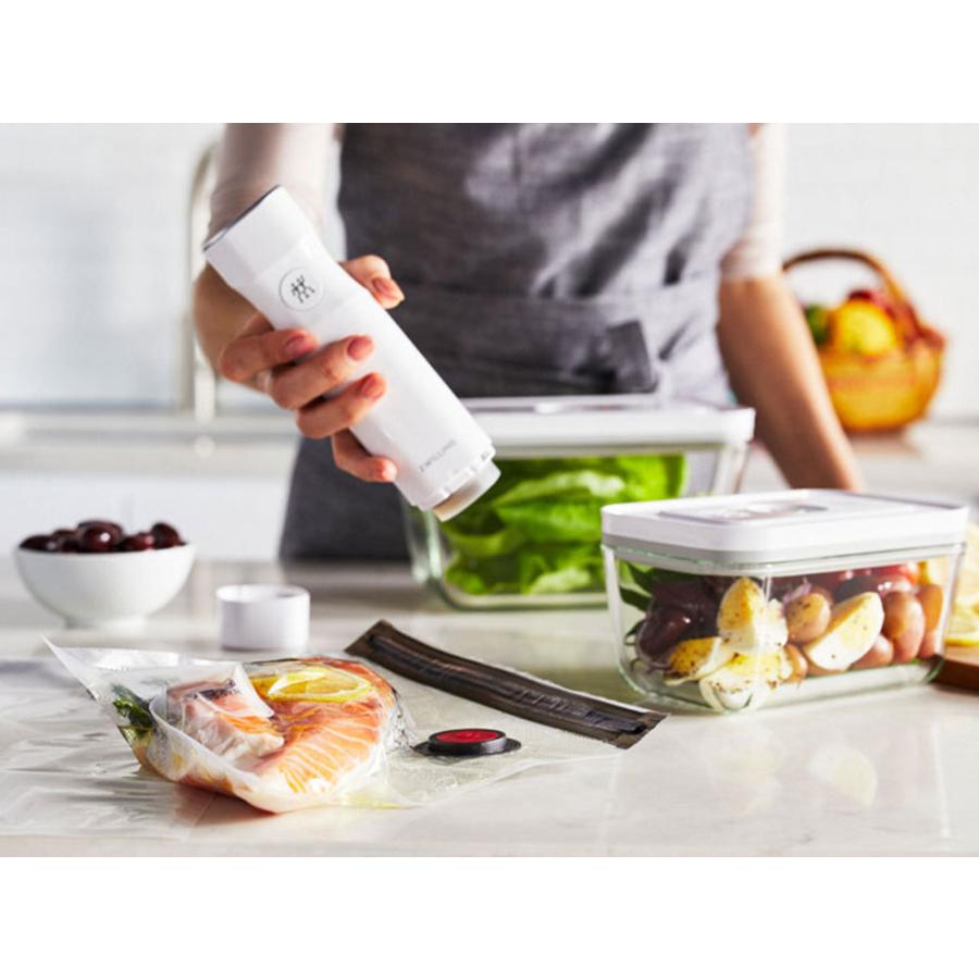 ZWILLING ツヴィリング 真空パック機本体&プラスチックコンテナ ZWILLING ツヴィリング 真空パック機本体&プラスチックコンテナ