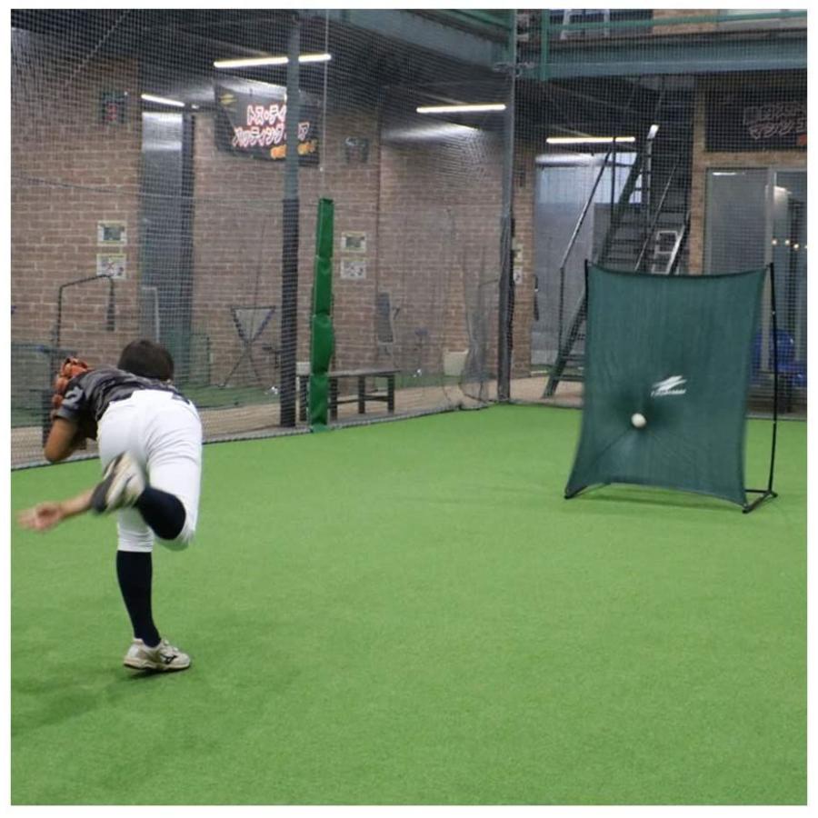 正規販売店 壁ネット Fkb 1310k フィールディング ピッチング練習 少年野球 学童野球 フィールドフォース Supplystudies Com