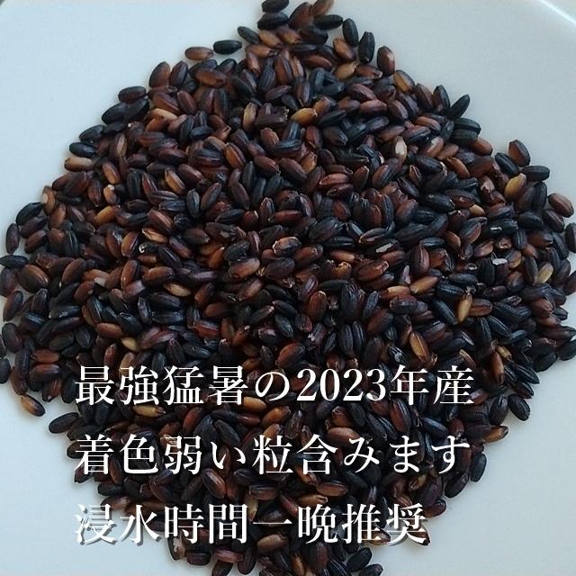 無農薬「黒米」300g（ポスト投函） : tuchinokoe - 通販 - Yahoo