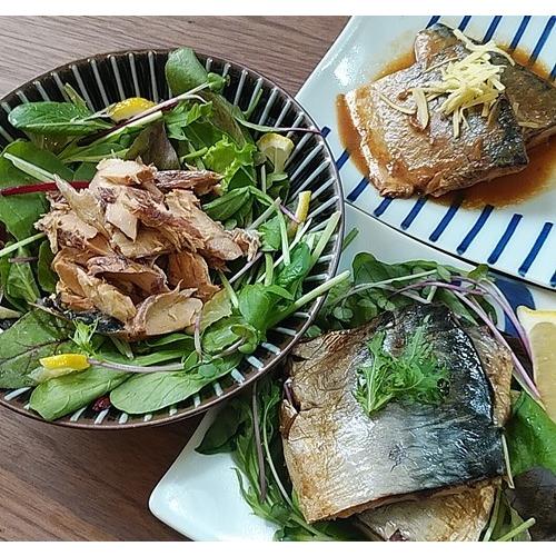 無添加・レトルトお魚お惣菜セット（煮魚・佃煮）ギフトにも！｜zyr｜02