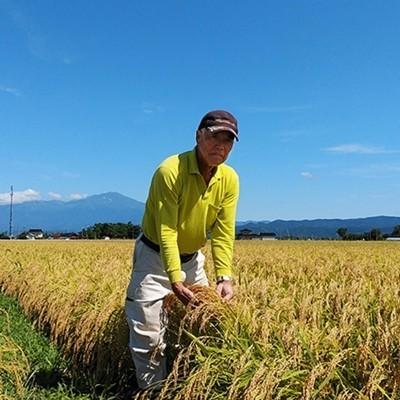 カイリュウ 無農薬コシヒカリ玄米15kg(5kg×3)令和5年産 コシヒカリ 【新米予約】 無農薬 玄米 米 5kg 匠 令和7年福井県