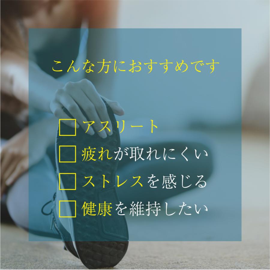 5-ALA サプリ 業界最高含有量1粒60mg 30カプセル ネオファーマジャパン製 5-ALA 使用 日本製 5-アミノレブリン酸リン酸塩 サプリメント BOOST 5ALA 60mg |  | 04