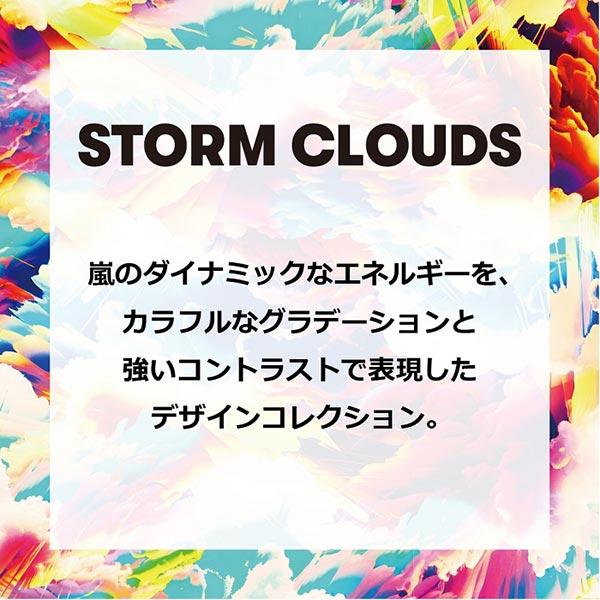 アリーナ arena レディース 競泳水着 練習用 ワンピース オープンバック タフスキンEP AS6SWM16Lの画像