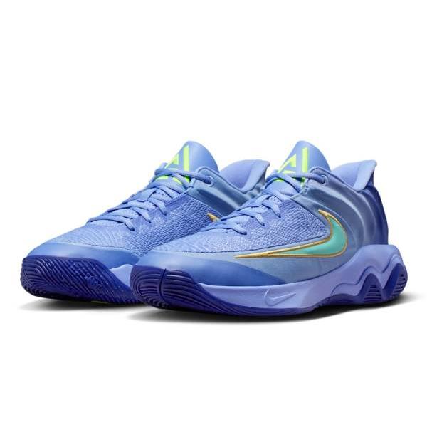 NIKE（ナイキ） バスケットボールシューズ メンズ レディース GIANNIS
