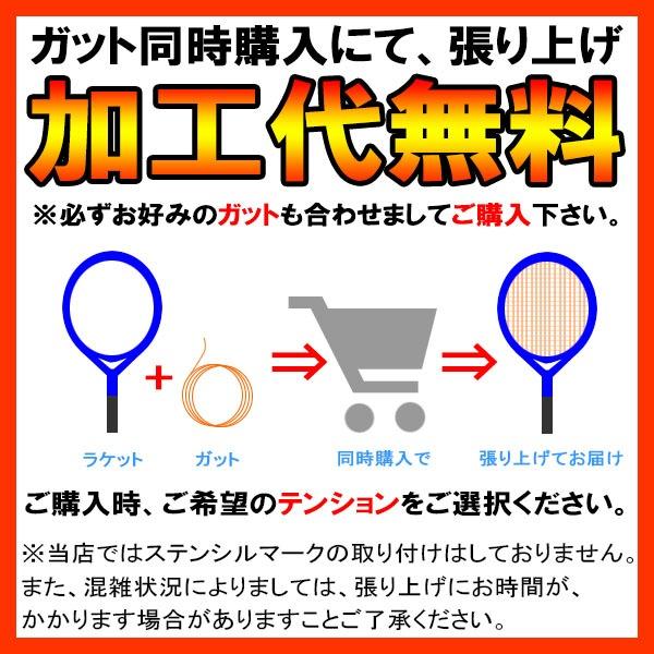 HEAD（ヘッド） 【フレームのみ】 硬式 テニス ラケット SPEED PRO