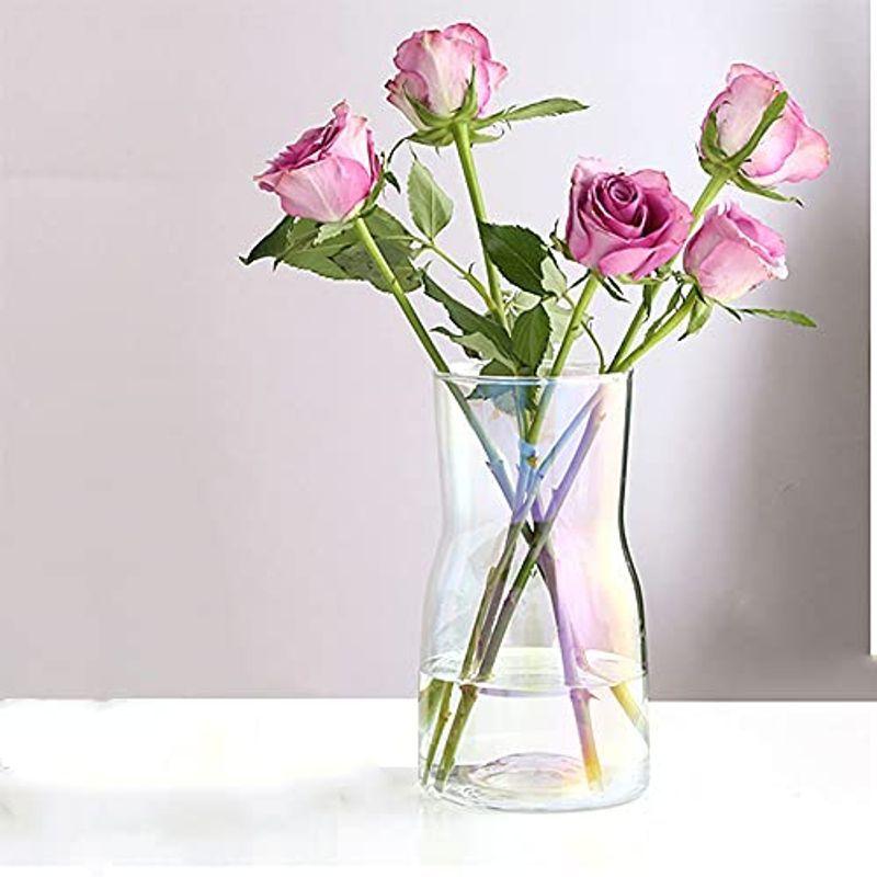 （お得な特別割引価格） ガラス花瓶 ガラスフラワーベース花瓶ガラス 花器 シンプル 高さ17CM Fukuka 北欧風花瓶 ガラスボトル 水耕栽培 インテリア飾り 花瓶、花器