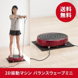 バランスウェーブミニ